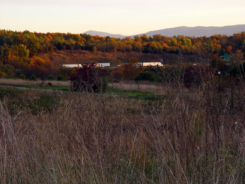 DSC03369.JPG
