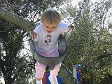 IMG_0341