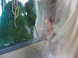IMG_0977