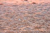 IMG_0620