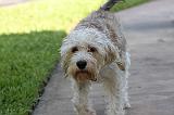 IMG_0589