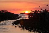 IMG_1008