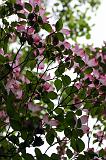 08IMG_2326