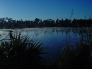 2005_02_12 everglades